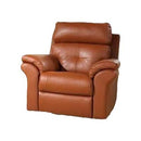  Elran Lift Chair 40372-LP1-H Lift Chair 2 Motors with Power Headrest IMAGE 1